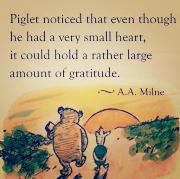 π» EUC COLUMBIA Interchange BLUE & MOSS πΏ SKI Jacket SZ M Calais Peak π» - Picture 4 of 14